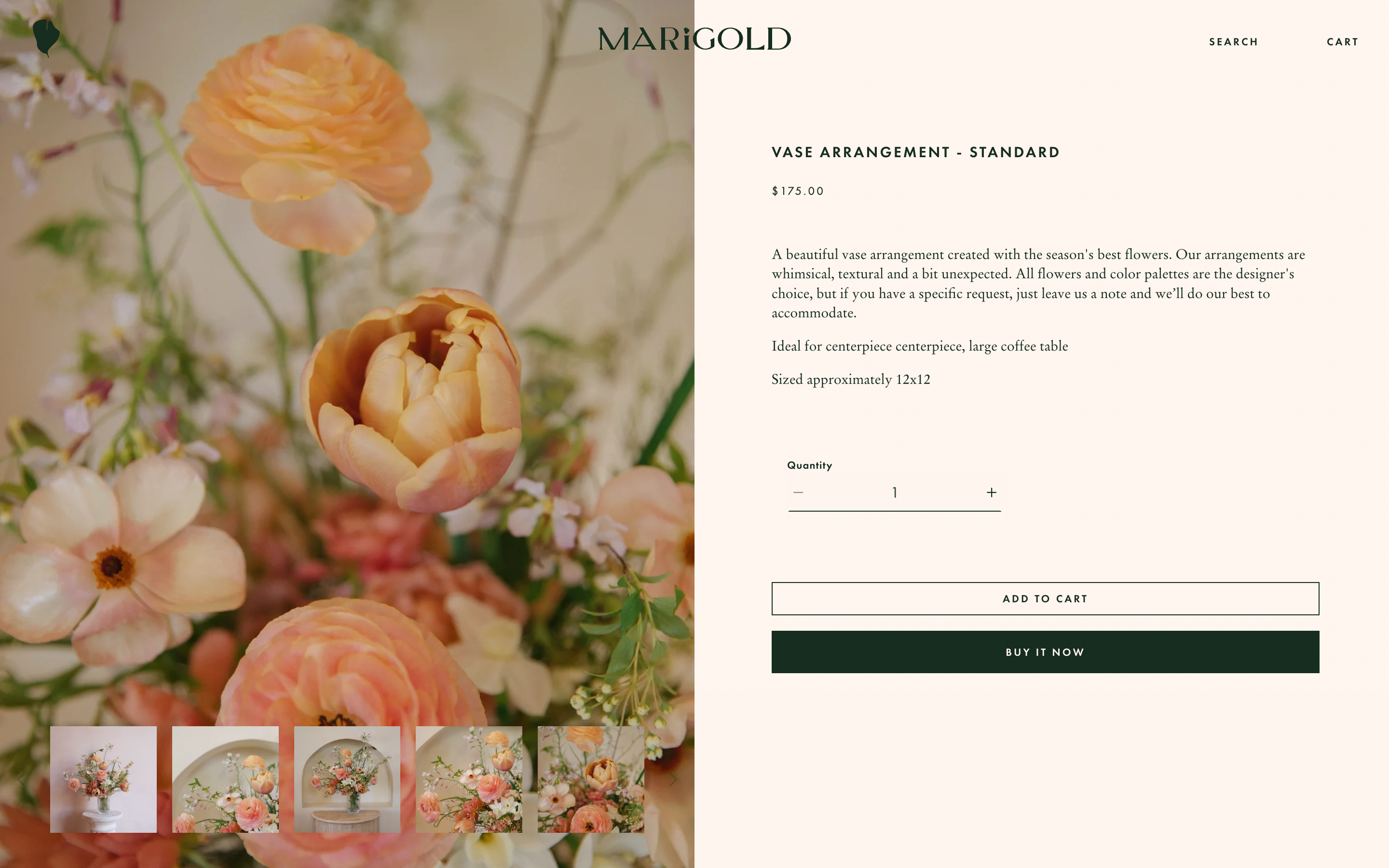 Marigold SF